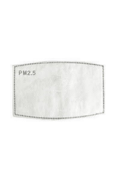 Reusable PM 2.5 Filter